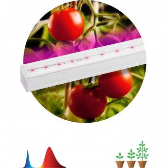 Светильник для растений ЭРА FITO-14W-Т5-N красно-синего спектра 14 Вт Т5 Светильник для растений ЭРА FITO-14W-Т5-N красно-синего спектра 14 Вт Т5
